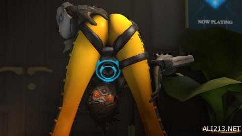 也同样引人 也同样引人